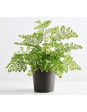 Planta Artificial Maidenhair