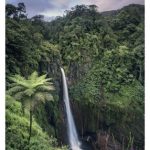 Libro Costa Rica de Petra Ender/Ellen Spielmann