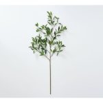 Hojas decorativa Bay Leaf