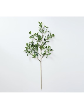 Hojas decorativa Bay Leaf