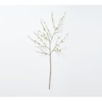 Cerezo decorativa White Blossom