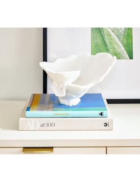 Figura decorativa de irregular Faux Coral