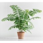 Planta artificial Faux Potted