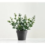 Eucalipto natural PB Potted Silver