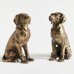 Sujeta libro Labrador