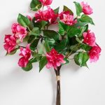 Ramo de Bugambilia decorativa