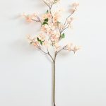 Cornejo decorativa Dogwood Branch