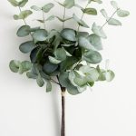 Eucalipto decorativo Faux Bundle