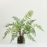 Helecho natural Faux Compossed