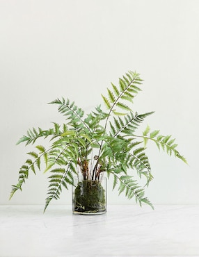 Helecho natural Faux Compossed