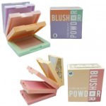 COMPACT POWDER BLUSHER 4 IN 1 $70