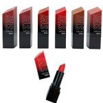 LABIAL EN BARRA MEGA STAY $25